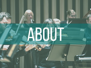 About the Northern Chamber Orchestra